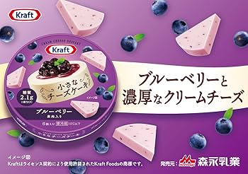ブルーベリーチーズケーキ味 ㅤ 🫐【冷やしてとろける、青いしあわせ。】 「夏摘み